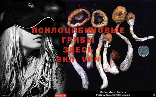 кокс Баксан