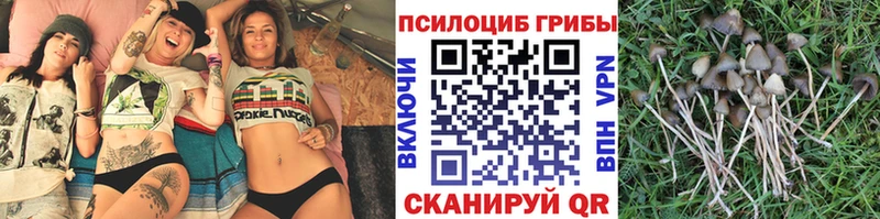 Псилоцибиновые грибы ЛСД  где можно купить наркотик  Новотроицк 