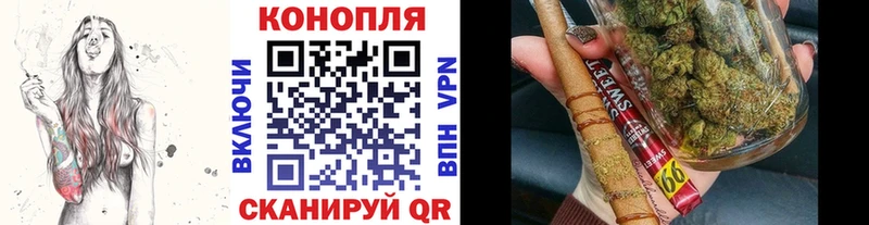 Шишки марихуана марихуана  дарнет шоп  Новотроицк 